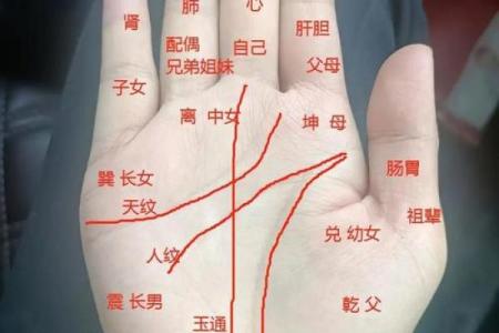 什么样的手指才是富贵命？浅谈手相与财富的关系