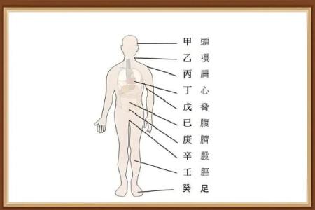 三月初七的五行命理解析：你的人生密码在此揭晓！