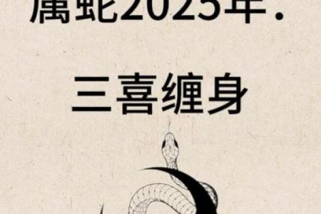 揭秘蛇命理：蛇年男性的性格与命格解读