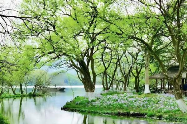 什么生肖女注定人生顺遂,幸福美满?揭秘她们的生活秘笈! 什么生肖女注定人生顺遂,幸福美满?揭秘她们的生活秘笈!