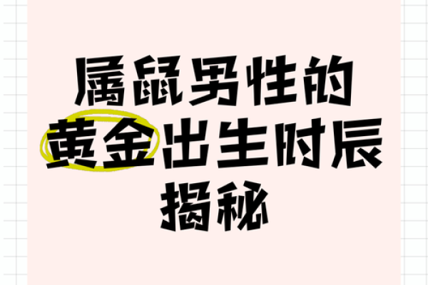 属鼠农历一月出生的命运解析:揭开你的生命密码 属鼠农历一月出生的命运解析:揭开你的生命密码