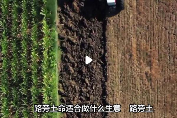 如何让路旁土命的人生更精彩,使命运更加旺盛! 如何让路旁土命的人生更精彩,使命运更加旺盛!