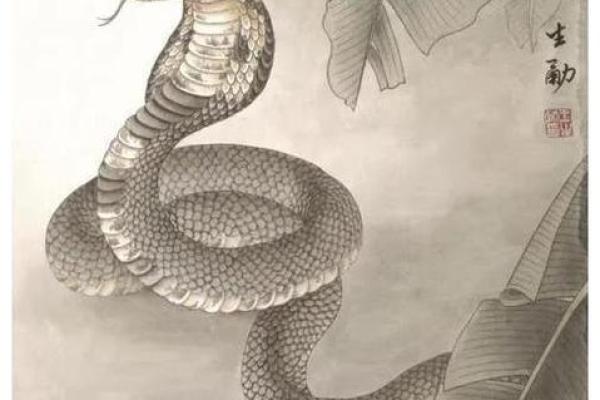 女命三虎拳：揭示女性命格中的无穷智慧与力量