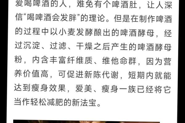 嗜酒如命的网红狗：揭秘“啤酒狗”的魅力与特性