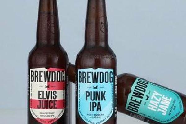 嗜酒如命的网红狗：揭秘“啤酒狗”的魅力与特性