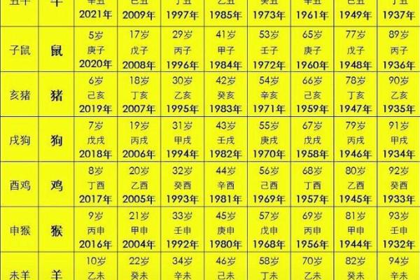 属虎之人：今年本命年的命运解析与提升运势秘笈