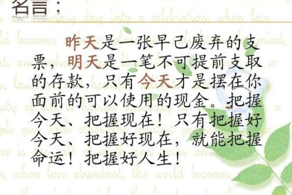 属猴人的6月出生命运解析：探索你的潜在魅力与优势