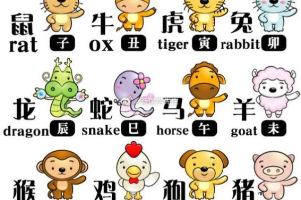 七岁孩子的生肖与命运解析:让我们一起了解他们的潜力与特点! 七岁孩子的生肖与命运解析:让我们一起了解他们的潜力与特点!