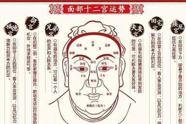 解析面相：识别败家男人命的关键特征和面相特征
