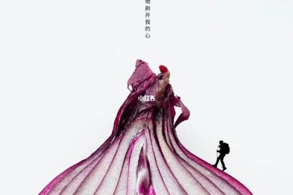 1995年火猪命解析：幸福与挑战并存的人生旅程