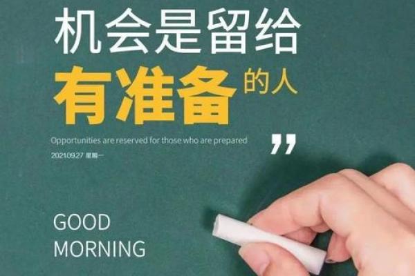 1995年火猪命解析：幸福与挑战并存的人生旅程