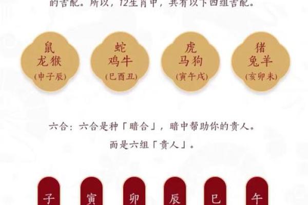 深入探讨十二生肖与五行命理的重要性与奥秘 深入探讨十二生肖与五行命理的重要性与奥秘