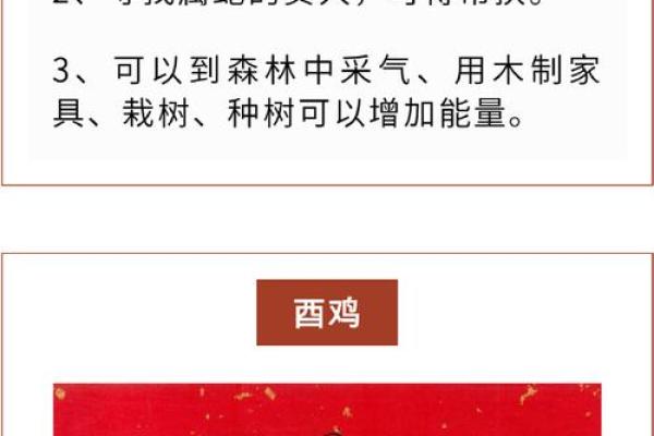 深入探讨十二生肖与五行命理的重要性与奥秘 深入探讨十二生肖与五行命理的重要性与奥秘