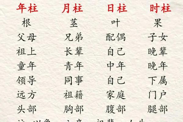 补缺与命理：如何通过命名改善人生运势