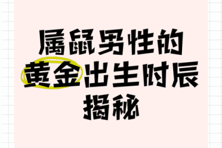 属鼠农历一月出生的命运解析：揭开你的生命密码