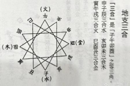木命与火命相合：探寻五行之间的和谐关系