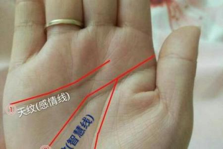 揭示：掌握这些手相特征，女人也能拥有当官命！