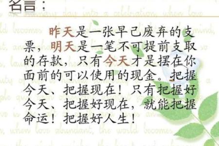 属猴人的6月出生命运解析：探索你的潜在魅力与优势