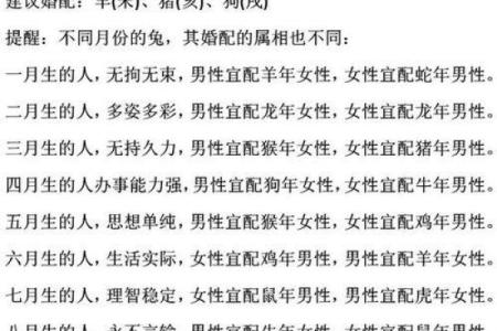 属大龙男命与女命的最佳配对解析：爱情与命理的完美结合