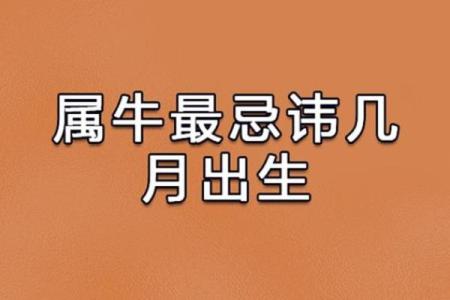 属牛凌晨四点出生者的命运解析：有什么特别之处？