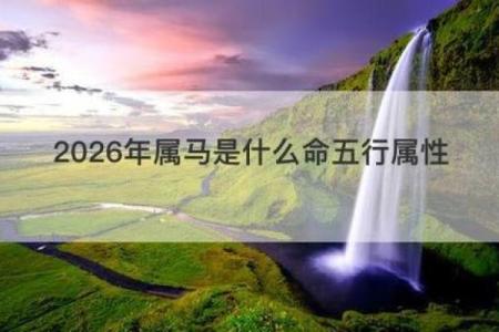 属马之人：五行命理与性格揭秘，助你找到成功之路！