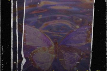 拼了命去爱你：爱情中的坚持与勇气