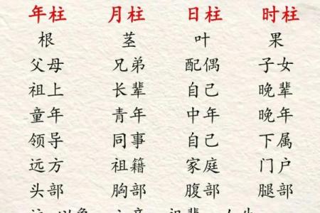 补缺与命理：如何通过命名改善人生运势