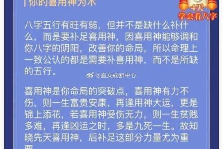 揭开八字的神秘面纱：探寻命局的深层奥义与运势启示
