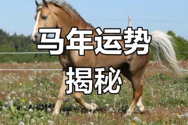 属马土命的五行分析及调和方式探讨 属马土命的五行分析及调和方式探讨