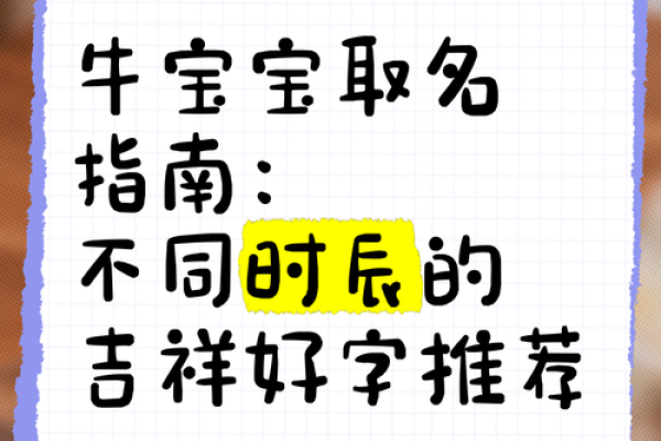 牛年男宝宝的命运解析：如何为孩子选择最佳名字与未来方向