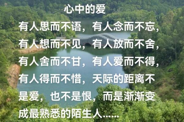 舍其身而护其命:爱的无私与深沉的牺牲 舍其身而护其命:爱的无私与深沉的牺牲