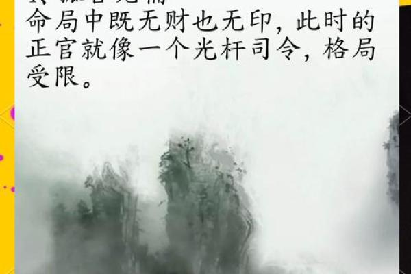 男命的女儿为何是正官：命理之美与家庭和谐的奥秘