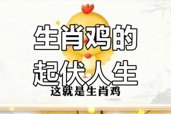 属鸡男命运解析:隐秘的缺陷与不利影响 属鸡男命运解析:隐秘的缺陷与不利影响