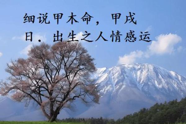 森林木命与其他命格的完美结合:探寻和谐的命理之道 森林木命与其他命格的完美结合:探寻和谐的命理之道