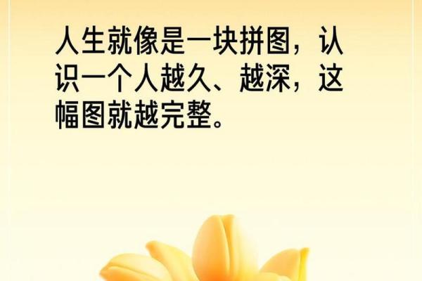 拼了命的一年，拼出什么样的人生？