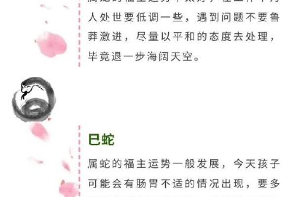 命运与运势：揭示姓名与生辰的奥秘