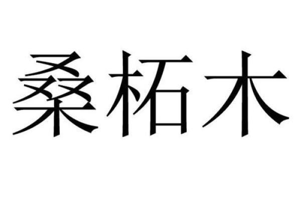桑柘木命的人适合从事的生意与发展方向探讨