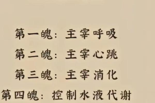 男命离火的深刻解读与启示