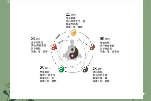 金命、水命、土命：探索五行命理的奥秘与对人生的影响