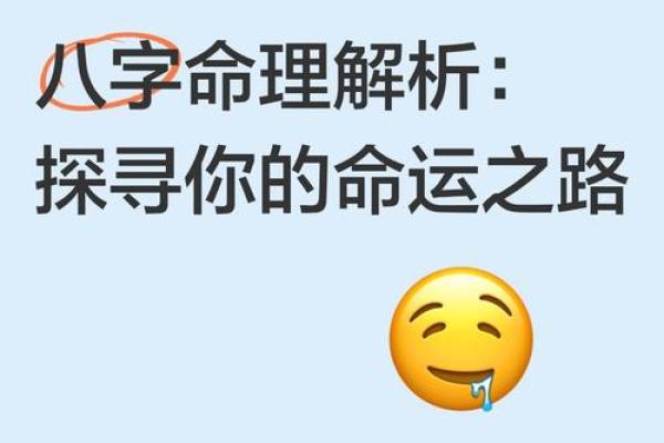 壬午男命:选择理想伴侣,幸福人生之路的探寻 壬午男命:选择理想伴侣,幸福人生之路的探寻