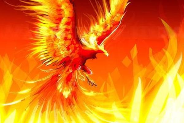 揭秘男人的凤凰之命:如何在逆境中重生与蜕变 揭秘男人的凤凰之命:如何在逆境中重生与蜕变