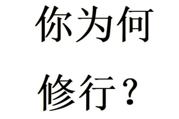 霹雳火与命运：探寻上等命的真谛与奥秘