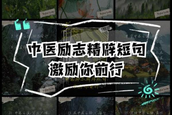 霹雳火与命运：探寻上等命的真谛与奥秘