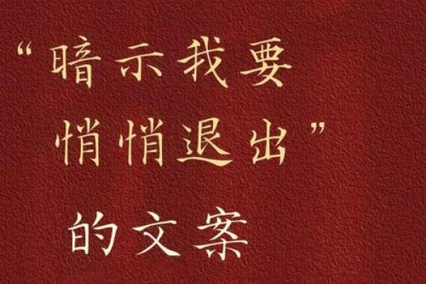 女生说我是他的命，这句话背后的深意与情感解析