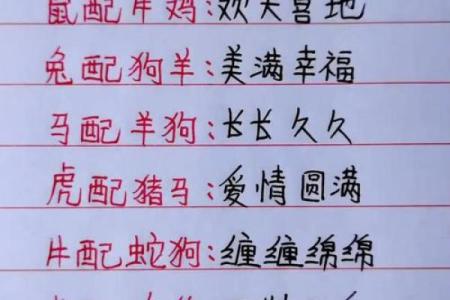 男命与女命最匹配的婚姻搭配探讨