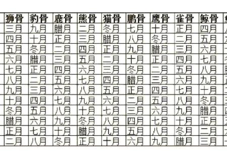 揭秘阴历3月19日出生者的命格与人生机遇