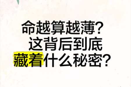 什么命的人更适合担任领导，探秘命理背后的秘密