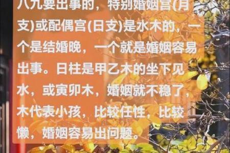 木命男士适合什么命的女人？一文揭示如何搭配幸福婚姻！