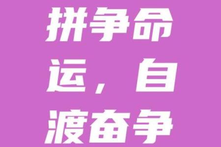 拼了命的一年，拼出什么样的人生？