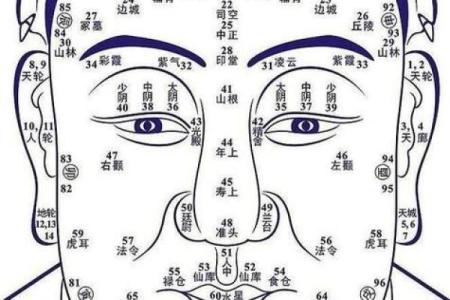 揭秘：从面相看女人富贵命的秘密